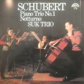 Franz Schubert – Piano Trio No. 1,Notturno